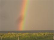 IMG_9584
